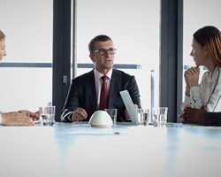 Professionals in a board meeting