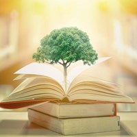 Tree growing from a pile of books