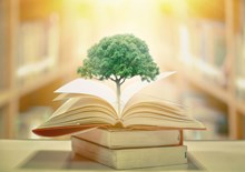 Tree growing from a pile of books